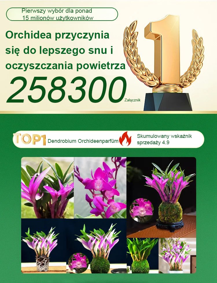 翻译件-JS-香水石斛兰改善睡眠绿植净化空气-按单采购-1176005-系统_01.jpg