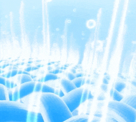 4.gif