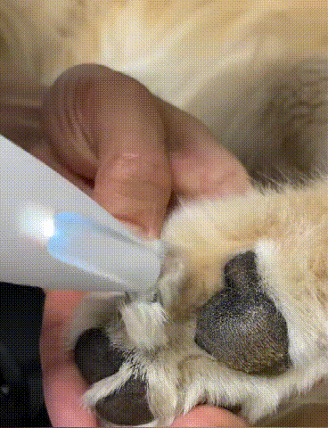 下载 (1) (2).gif