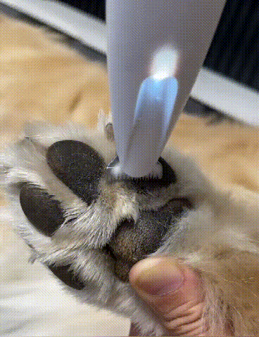 下载 (1) (1).gif