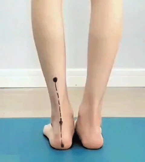 fb6c934232e798788ce8bb59c8d3c1b0.gif