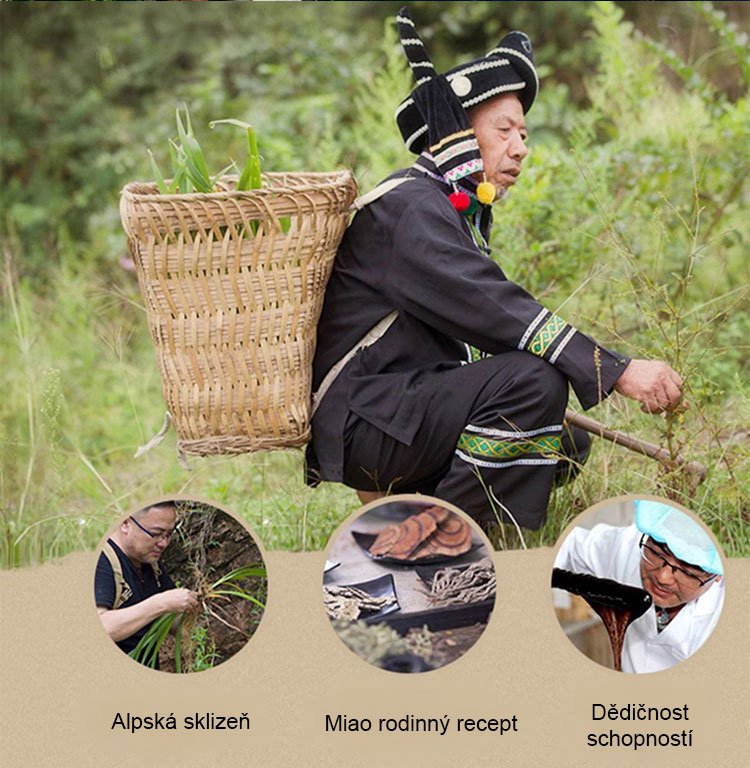 JC-Chuanxiong světlicová sazenice moxovací kapalina