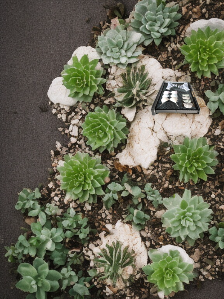 折りたたみ式平干しネット