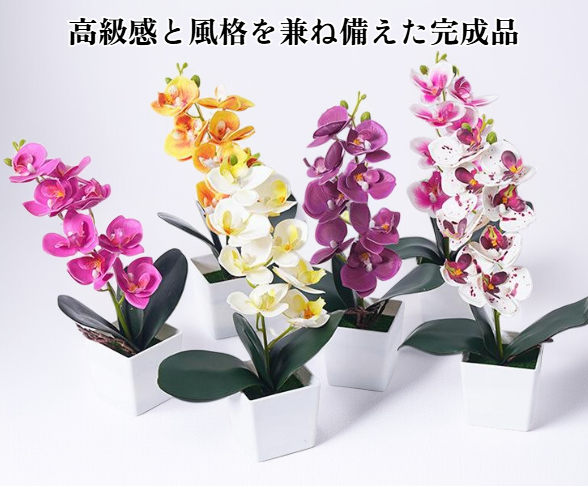 screenshot_2025-08-27_14-57-03.png