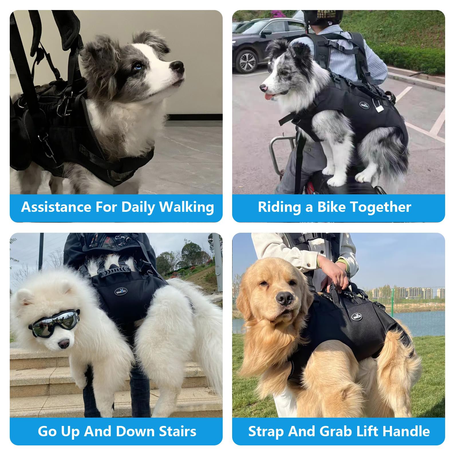 Giipet - Pet Carrier Backpack,Perfect for Traveling, Hospital Visits, Disaster Evacuation, Outings,