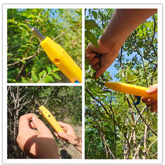 Neškodný nástroj na sběr ovoce pro zahradníky