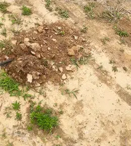 d7dfa47adaf6fae4418262b6cf857a84.gif