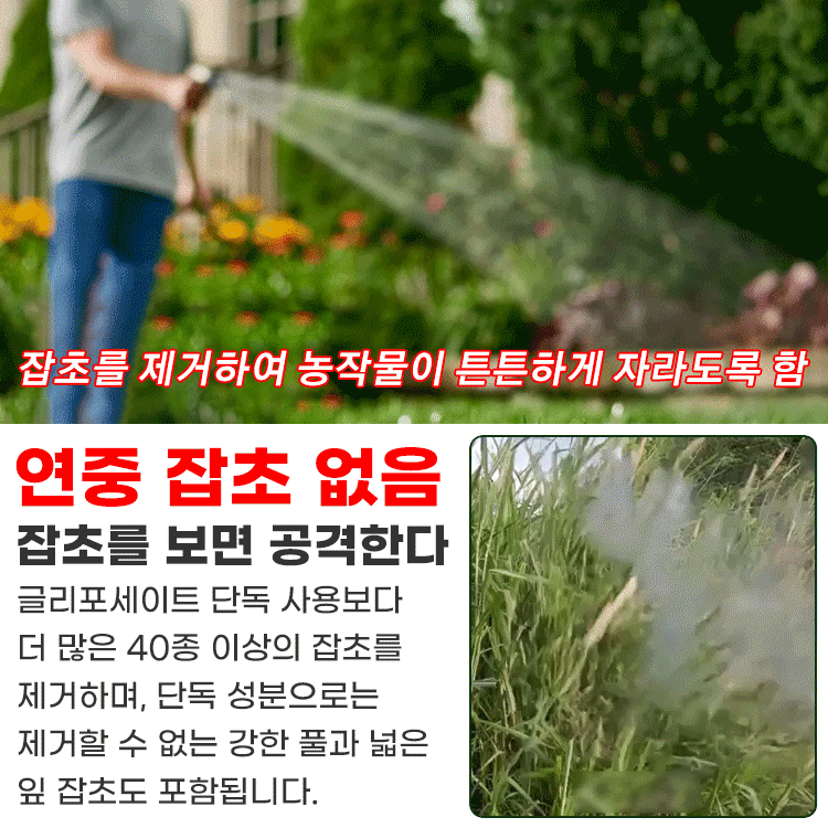 2 in 1 강력 제초제【6시간 내 효과 확인】