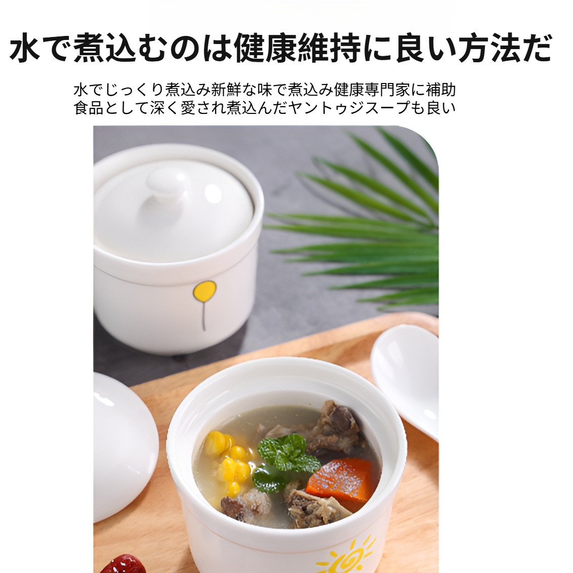 ツバメの巣トニックシチュー鍋の調理例