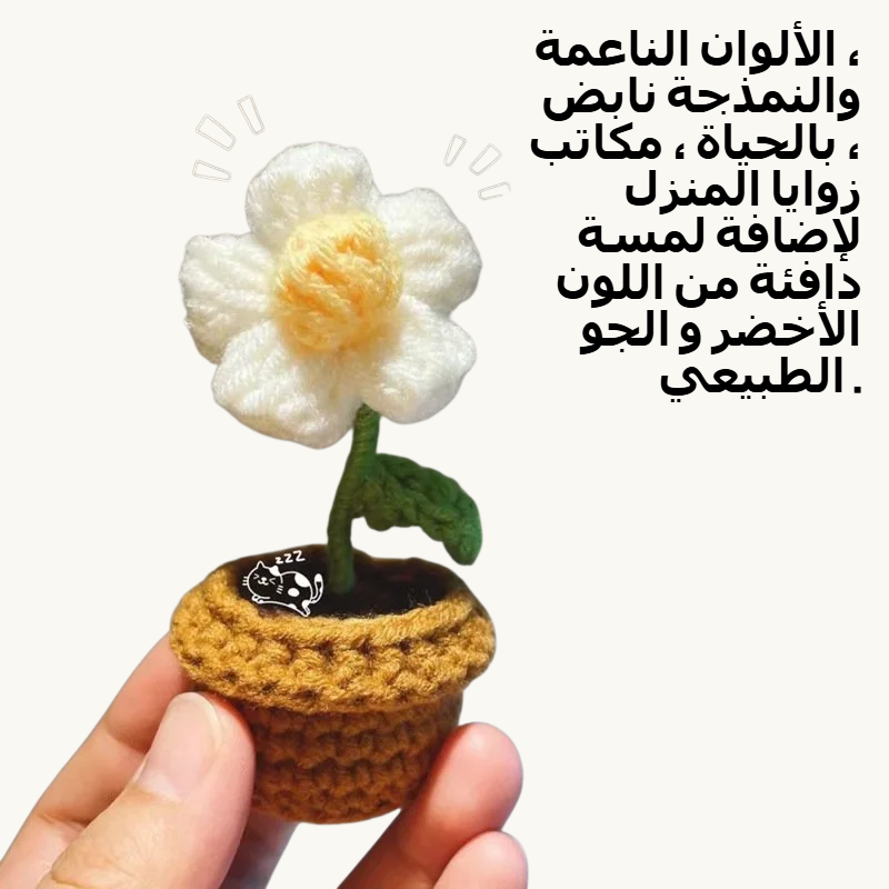 ومن ناحية محبوك الصوف زهرة بوعاء البندول