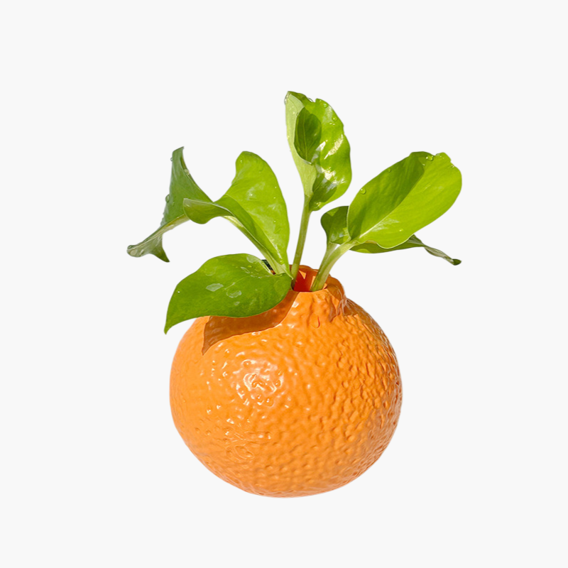 작은 꽃병 장식