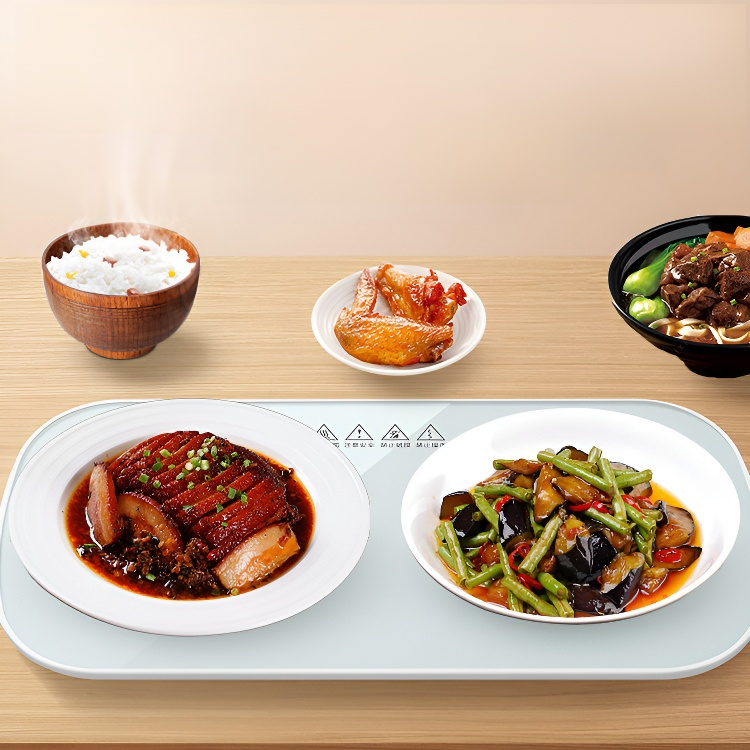 Multifunctional Intelligent Constant Temperature Food Warming Tray