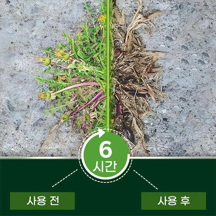 2 in 1 강력 제초제【6시간 내 효과 확인】