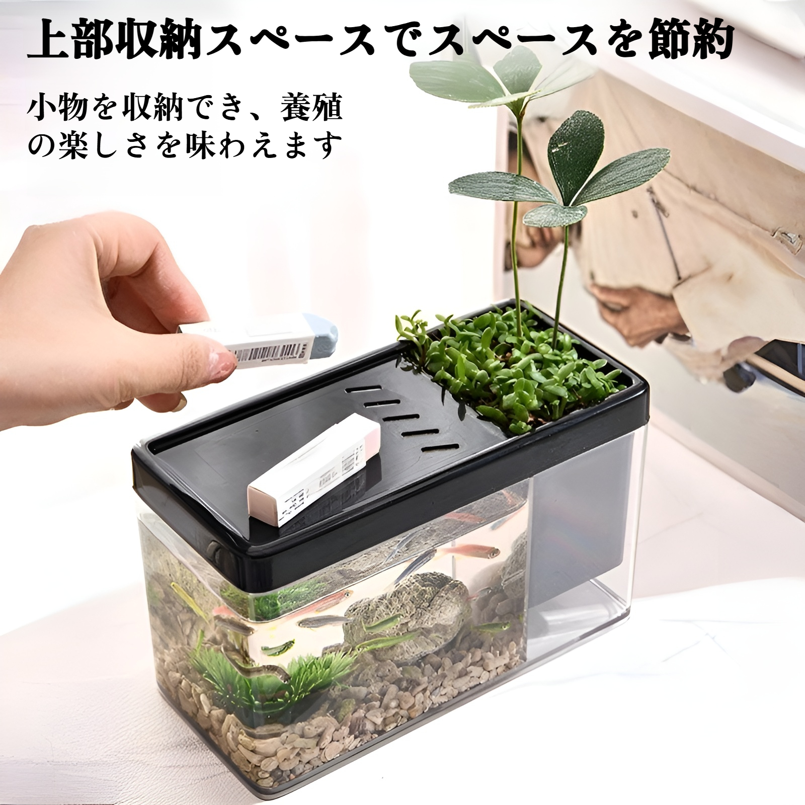 リビングルームデスクに置ける水槽