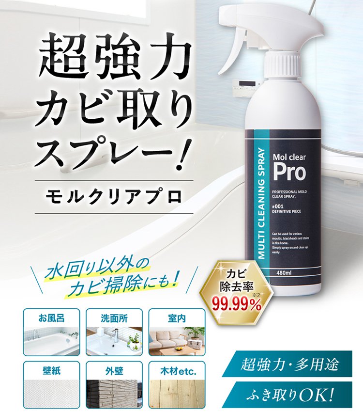 超強力カビ取りスプレー
