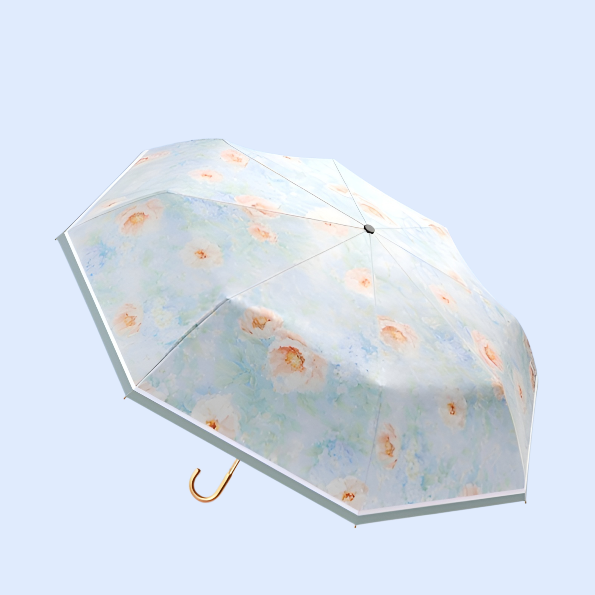 Parasailanty
