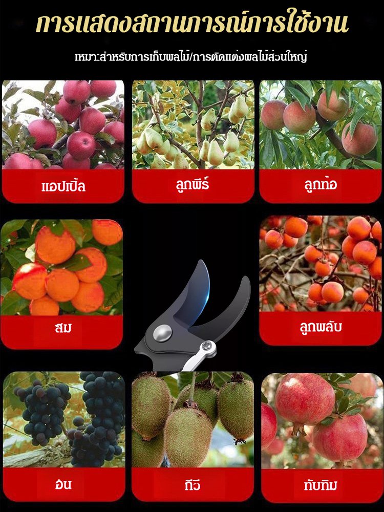 กรรไกรตัดแต่งกิ่งสแตนเลสอเนกประสงค์สำหรับงานสูง