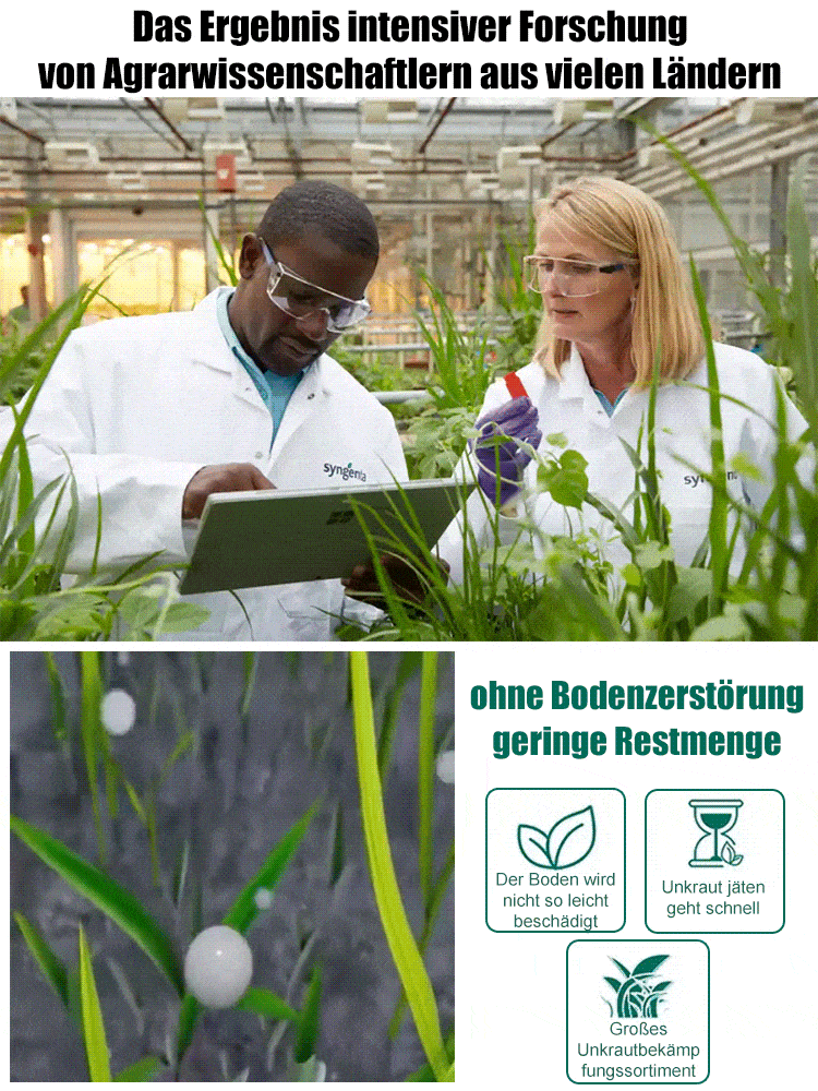 【100 Prozent Glyphosatfre】Hohenheim Forschungs-Bio-Unkrautvernichter✨5 Jahr Schutz vor Unkraut✨