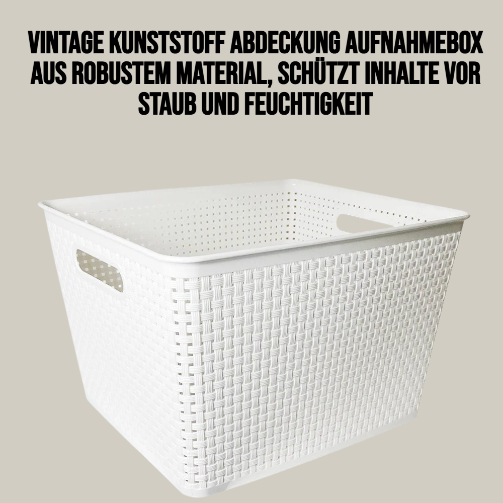 Vintage Kunststoff Abdeckung Aufnahmebox