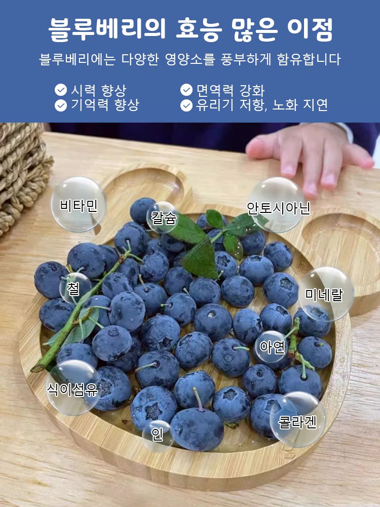 다품종 블루베리 씨앗