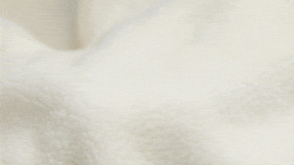 02.gif