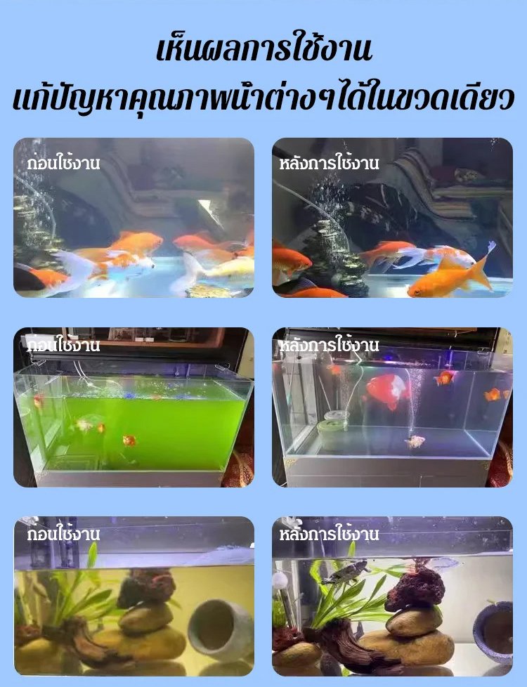 翻译_25.jpg