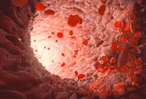 yingyu_21.gif
