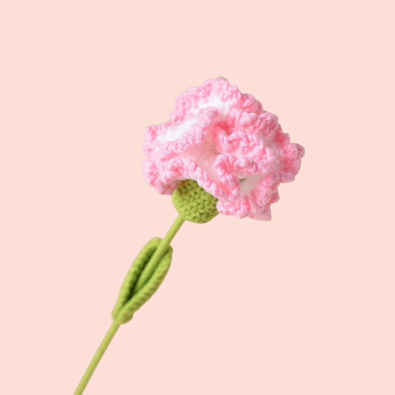 Braided Carnations