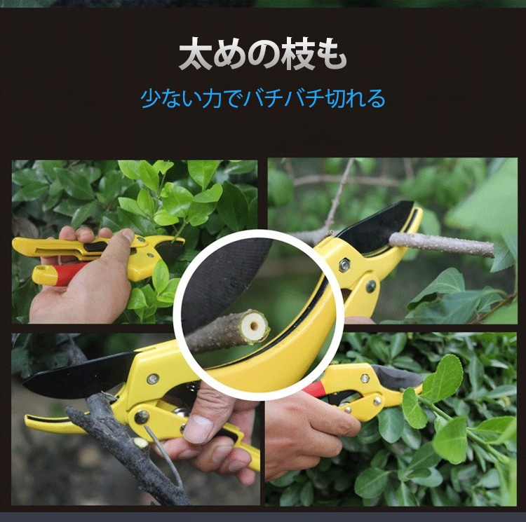 剪定バサミで枝を切る使用シーン
