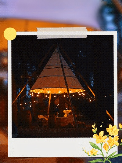 Solar Papaya String Lights for Patio Garden Outdoor Camping Decoration