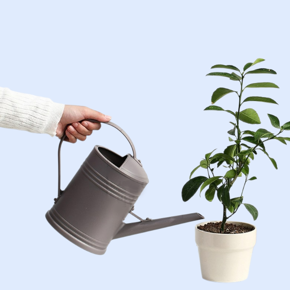 2edca382984b69823c0cb0073f6d7899.png