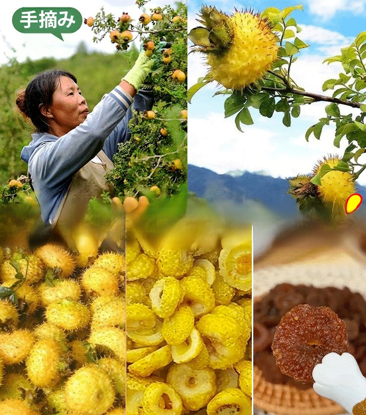 トゲナシの砂糖漬け