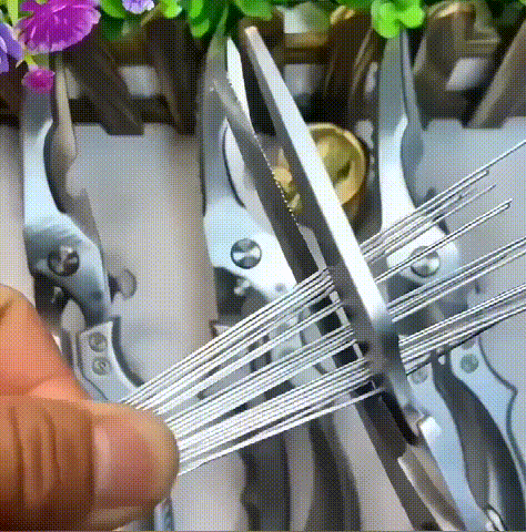 a01096bb82375522db005113711c8472.gif