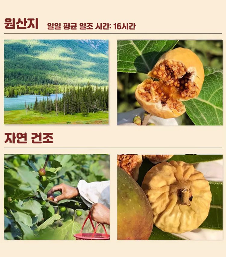 [천연 프로게스테론] 말린 무화과