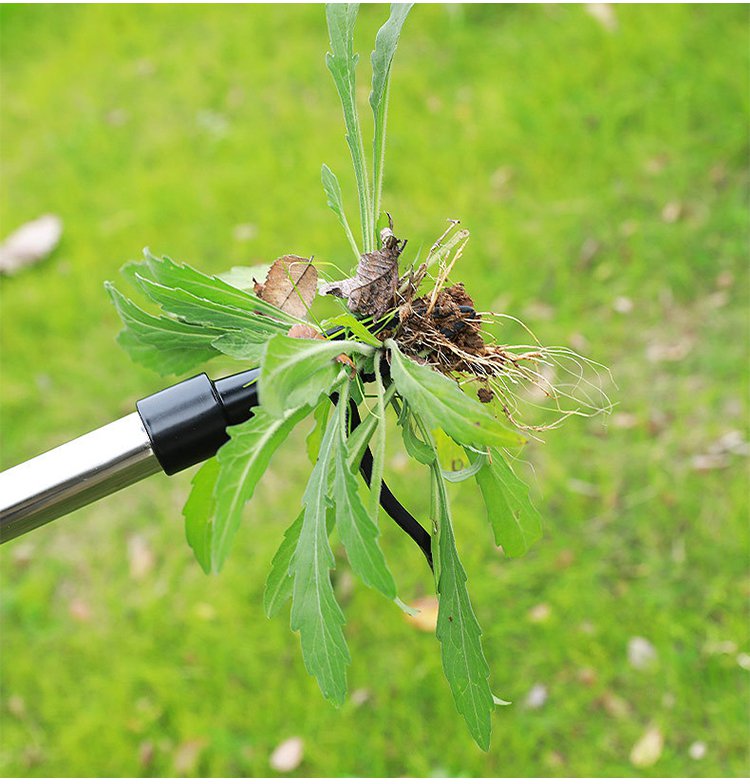 정원에서 사용 중인 스탠딩 제초 도구