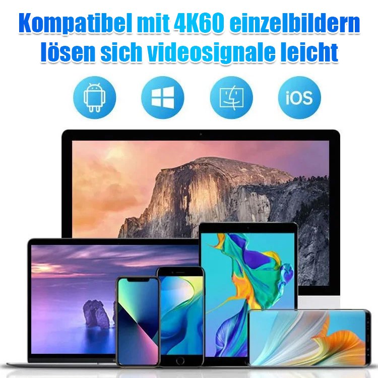 Hochgeschwindigkeits tragbare mobile SSD-Festplatte