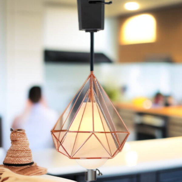 Birdcage Personalized Hanging Wire Lamp