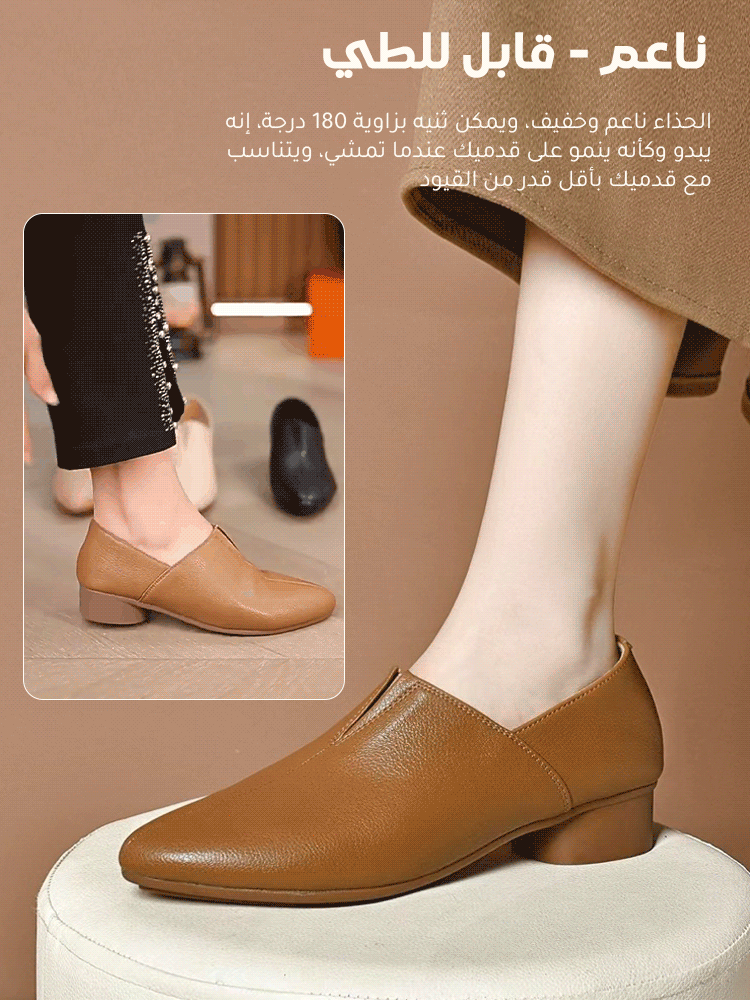 حذاء أنيق بكعب منخفض مع مقدمة مدببة