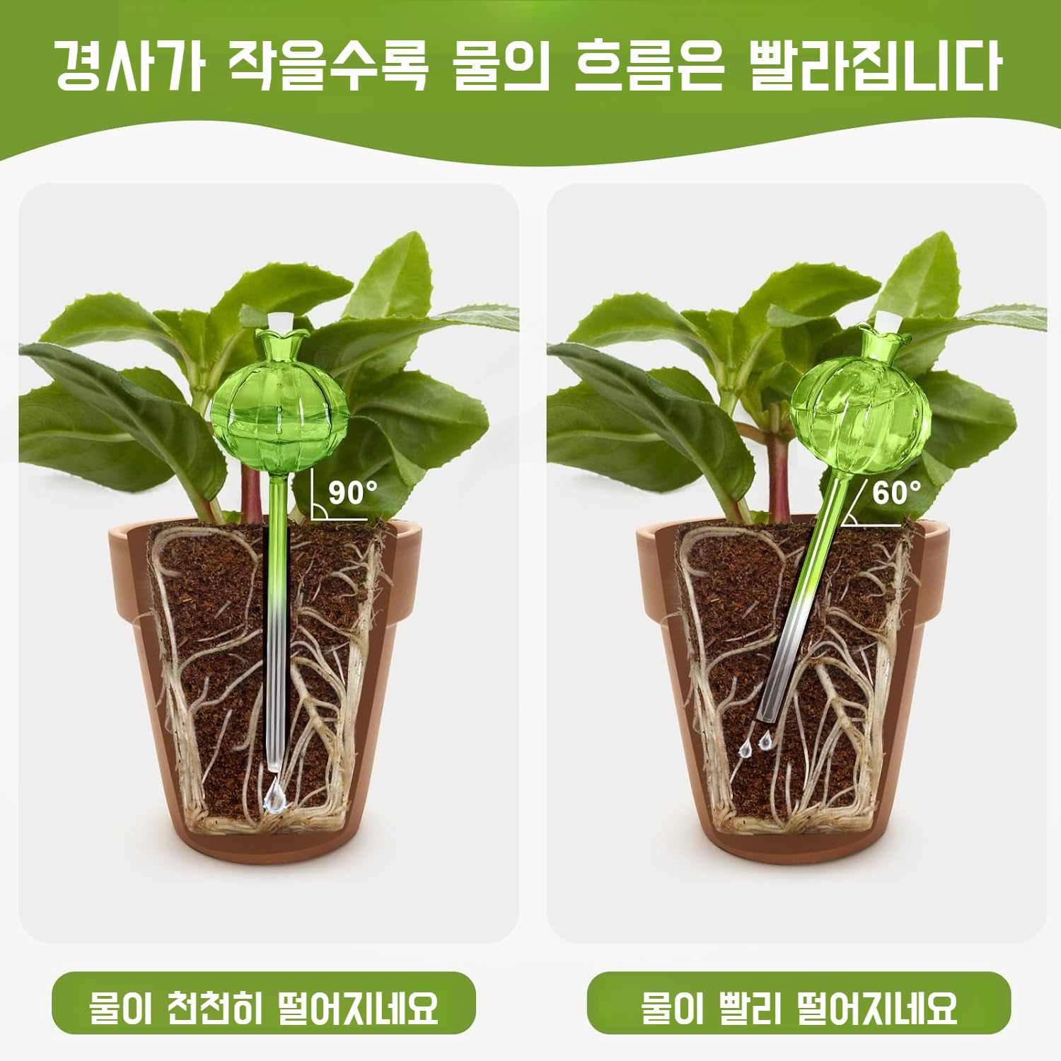 게으름뱅이 필수 자동 꽃꽂이 고붕소 실리콘 유리 점적 관개 점적기 선인 볼 식물 관개 신기