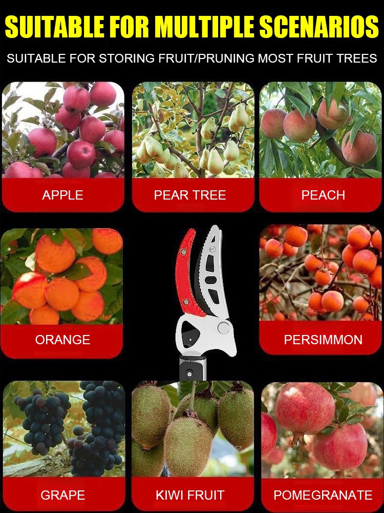 Multi functional stainless steel high branch shear