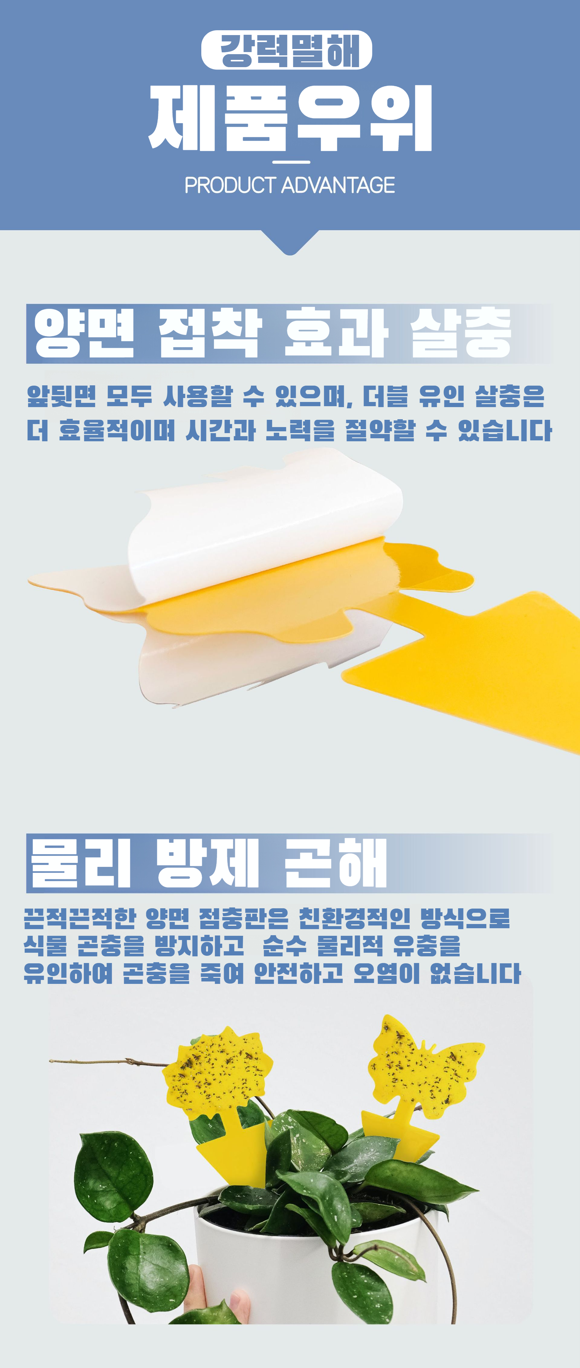 꽃형 이형 점충판 실내 곤충유포기 이미지