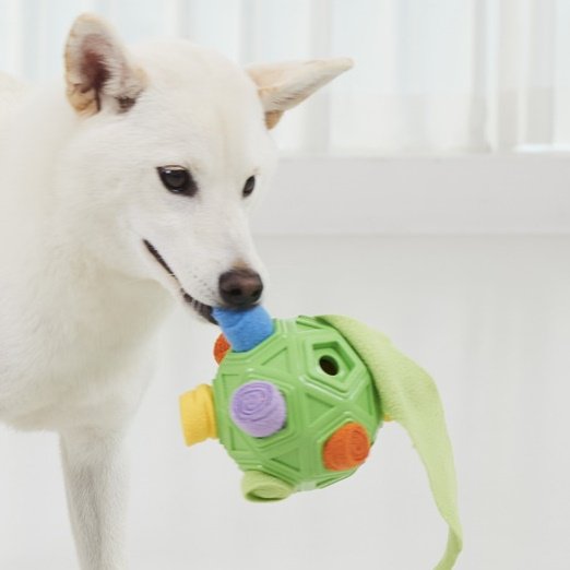 Bissfester Futterball für Haustiere