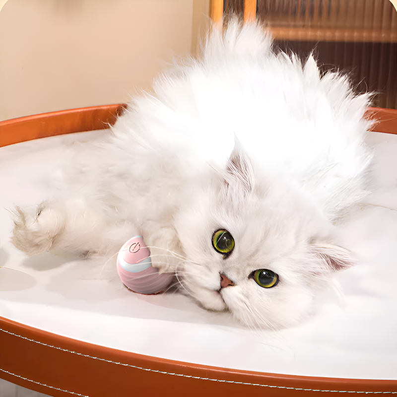 Jouet magnétique intelligent pour chat, balle interactive rechargeable