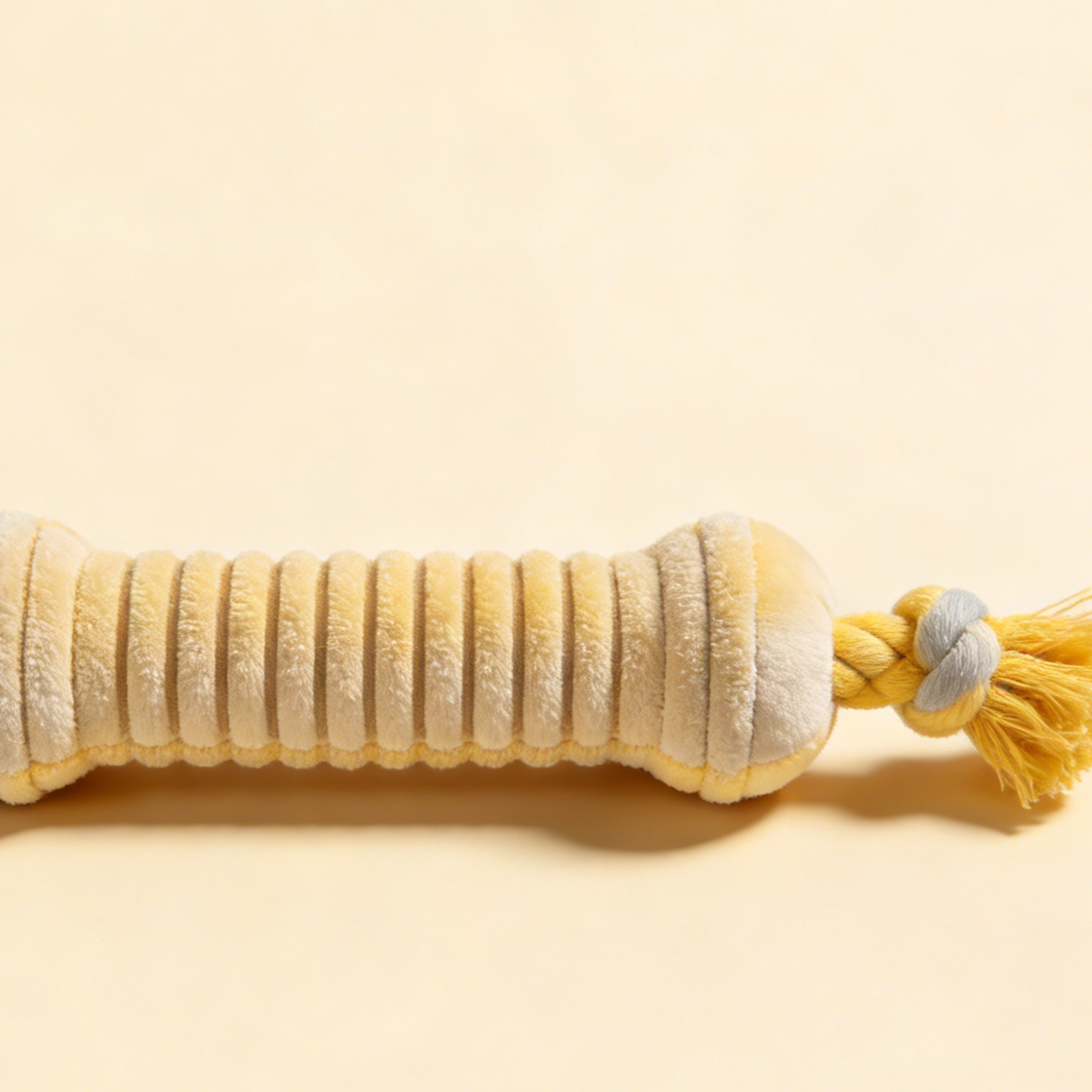 ชุดของเล่นสำหรับสัตว์เลี้ยง (3 ชิ้น)