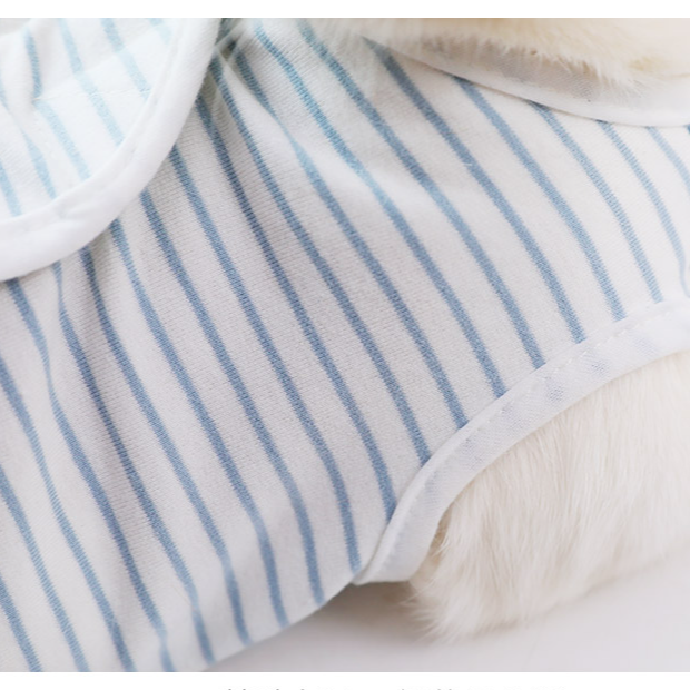 고양이 관리복 얇은 핥기 방지 통기 옷