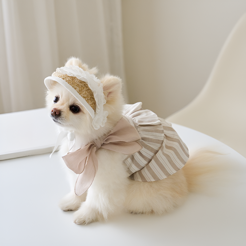 犬や猫に適した麦わら編みの豚鼻帽子