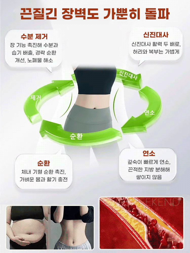 영양 건강 빨간 배추씨