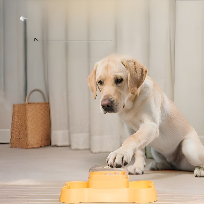 Smart Automatic Pet Feeder