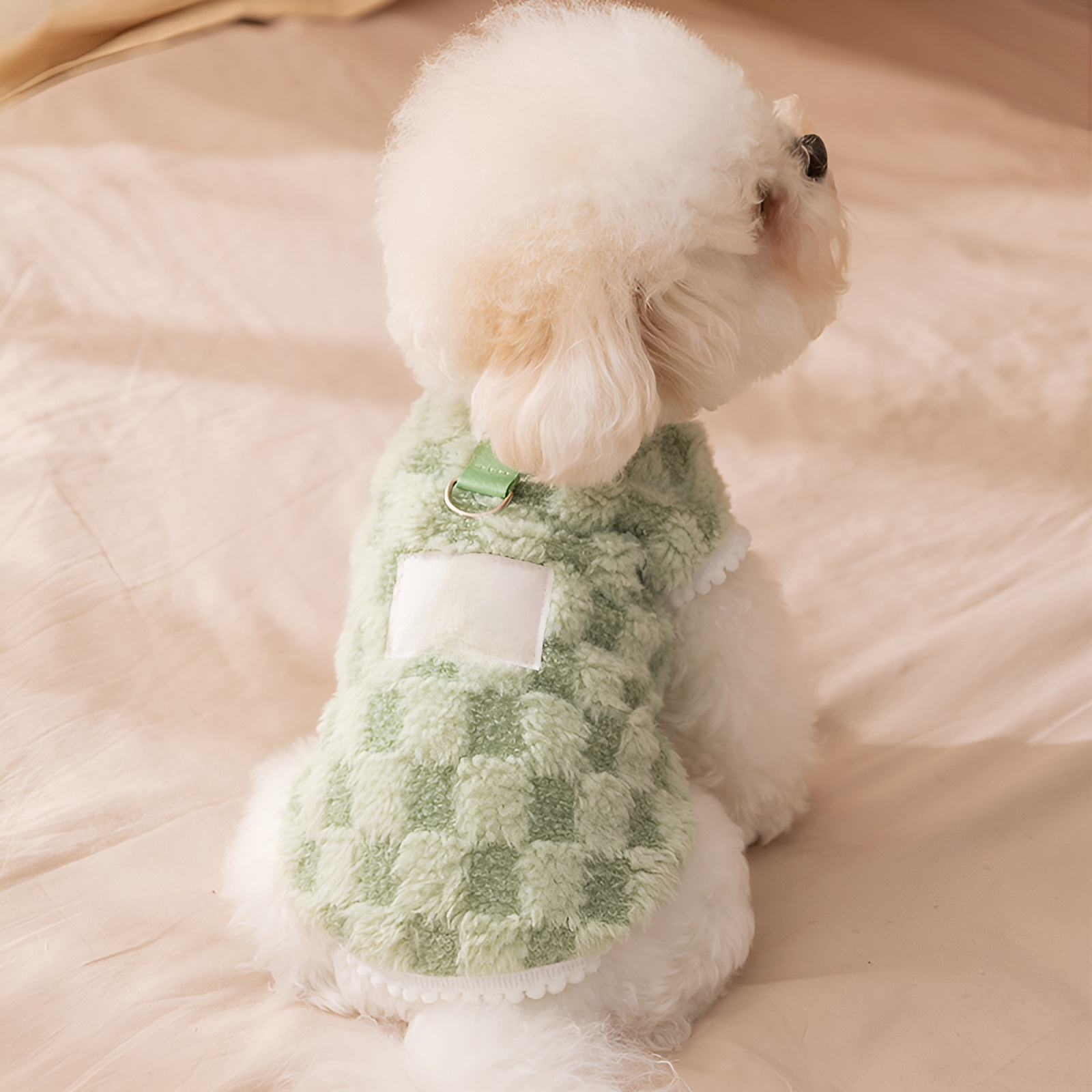 겨울용 테디 반려동물 따뜻한 양털 옷, 소형견·고양이 투피스