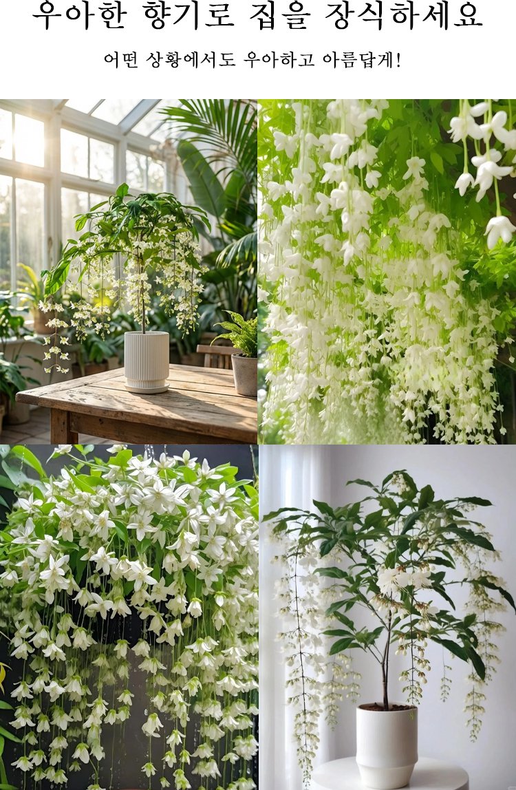 花_17.jpg
